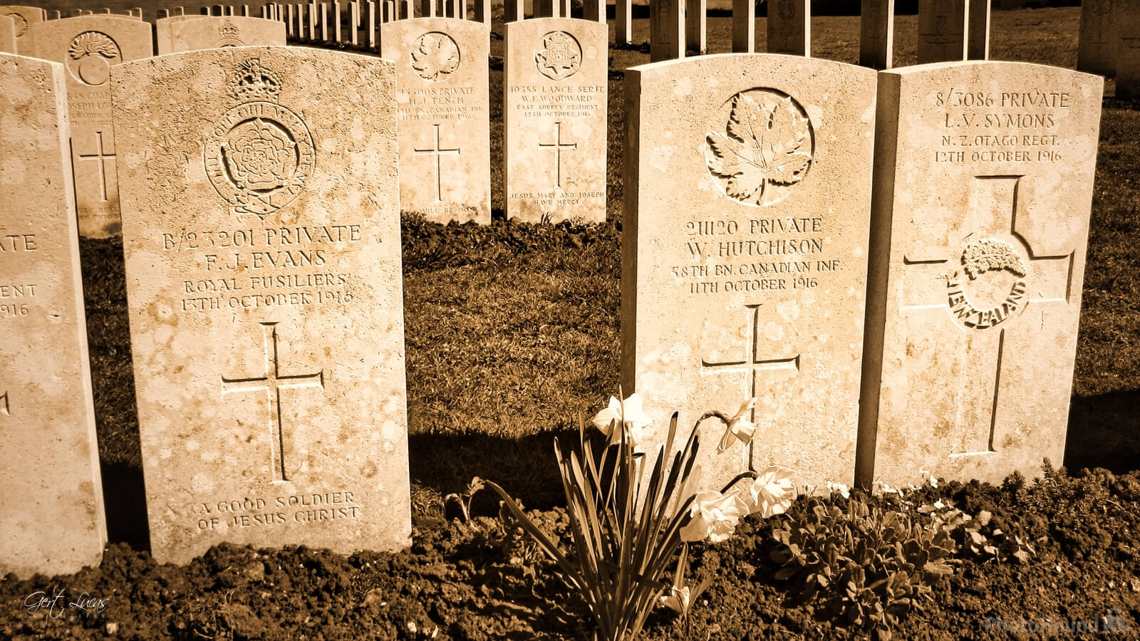 Image of Étaples Military Cemetery by Gert Lucas