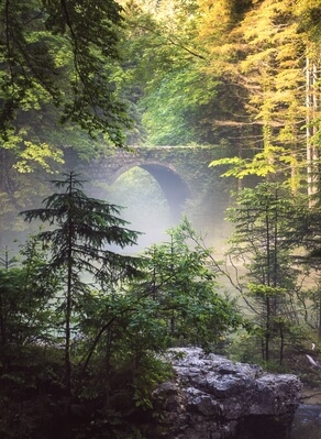 images of Slovenia - Kamniška Bistrica river spring