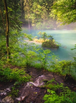 Slovenia images - Kamniška Bistrica river spring