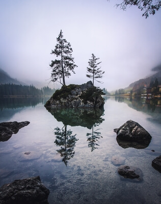 Picture of Hintersee - Hintersee