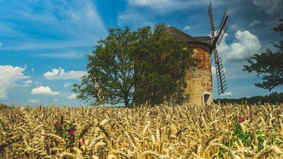 Picture of Kunkovice windmill - Kunkovice windmill