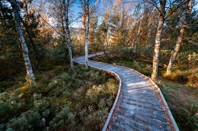 Wooden path to the Chalupská moorland (Chalupská slať)