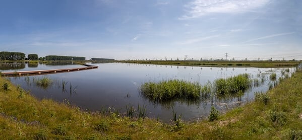 Panoramic view of the newly created wet lands