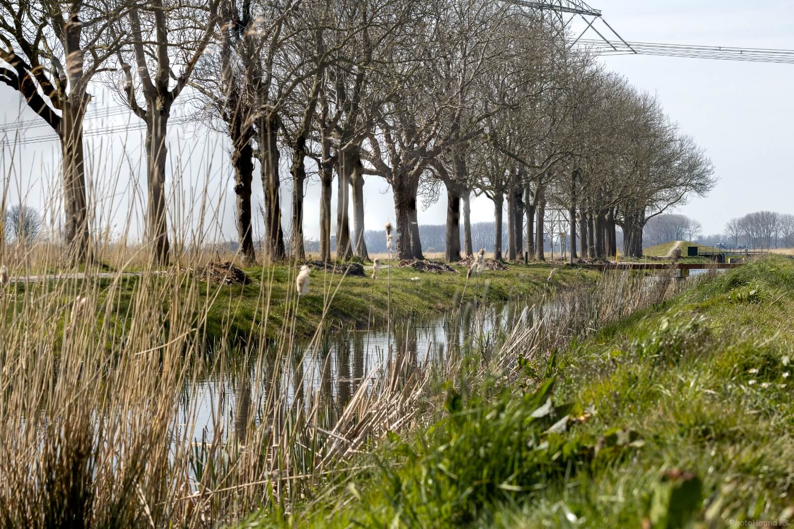 Image of Isle of Dordrecht (National Park Biesbosch) by Ruud Bijvank