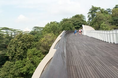 images of Singapore - Henderson Waves