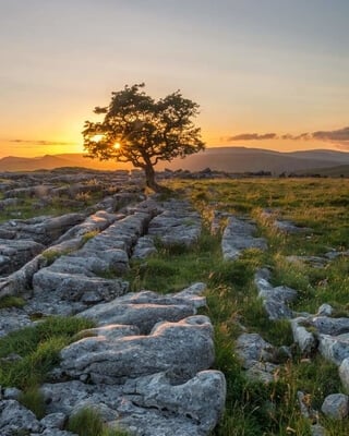 The lone Hawthorne tree at sunset on the limestone pavement is a great spot for sunset,and only a 2 minute walk from the parking spot
