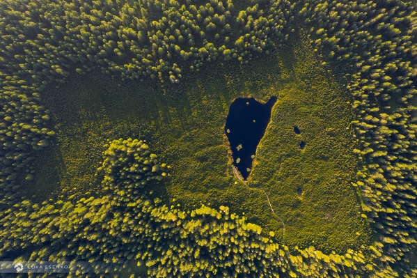 Ribniško Jezero (Ribnica Lake)