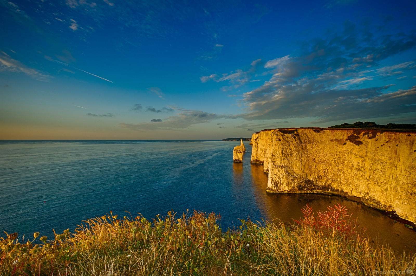 Image of Old Harry Rock by Brian Butcher