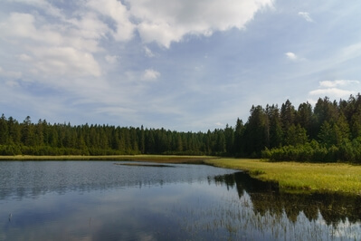 images of Slovenia - Črno Jezero (Black Lake)