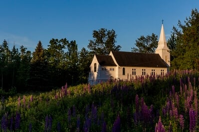 New Hampshire photography locations - Sugar Hill Lupines