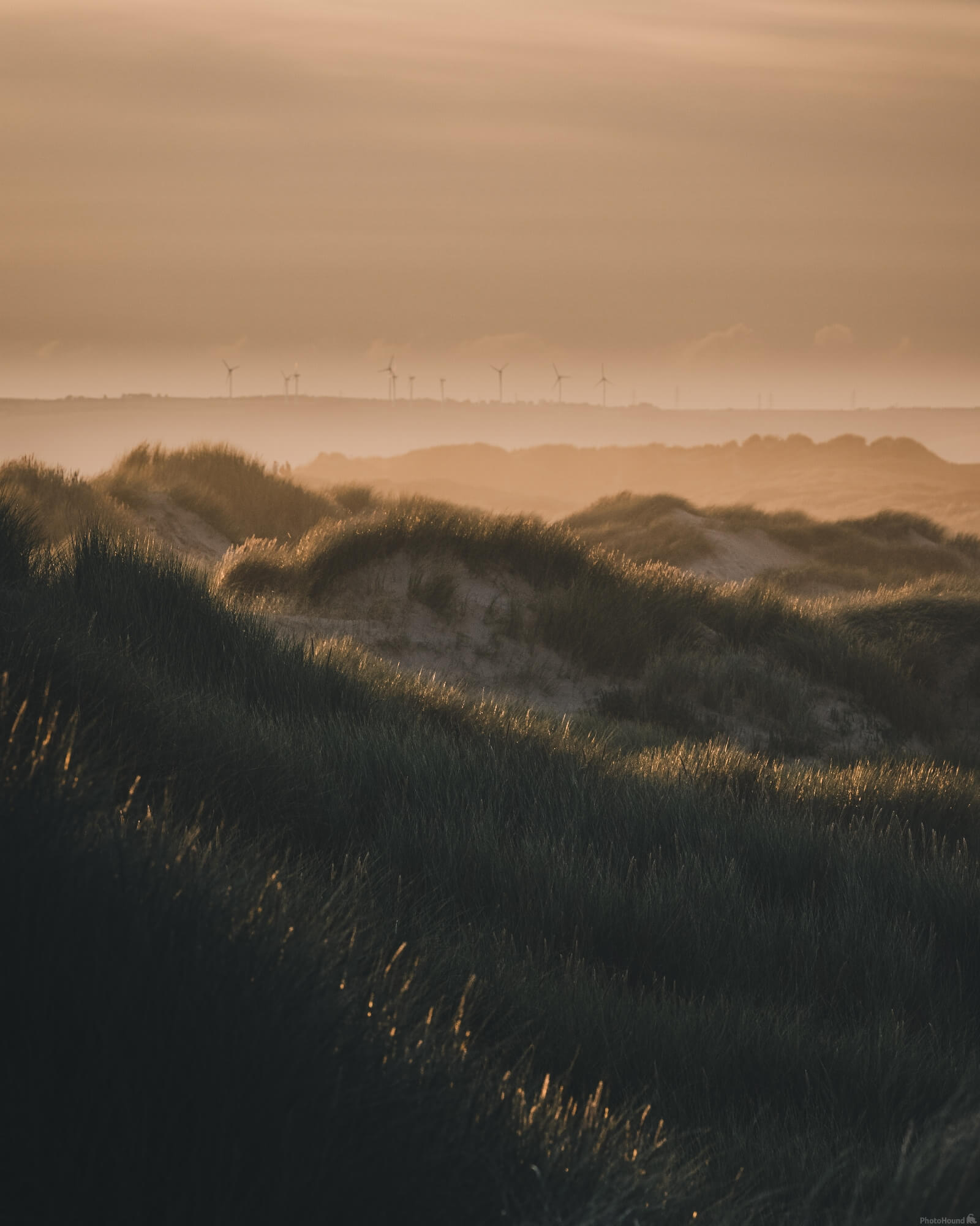 Image of Cefn Sidan South Beach & Dunes by Daniel Phillips