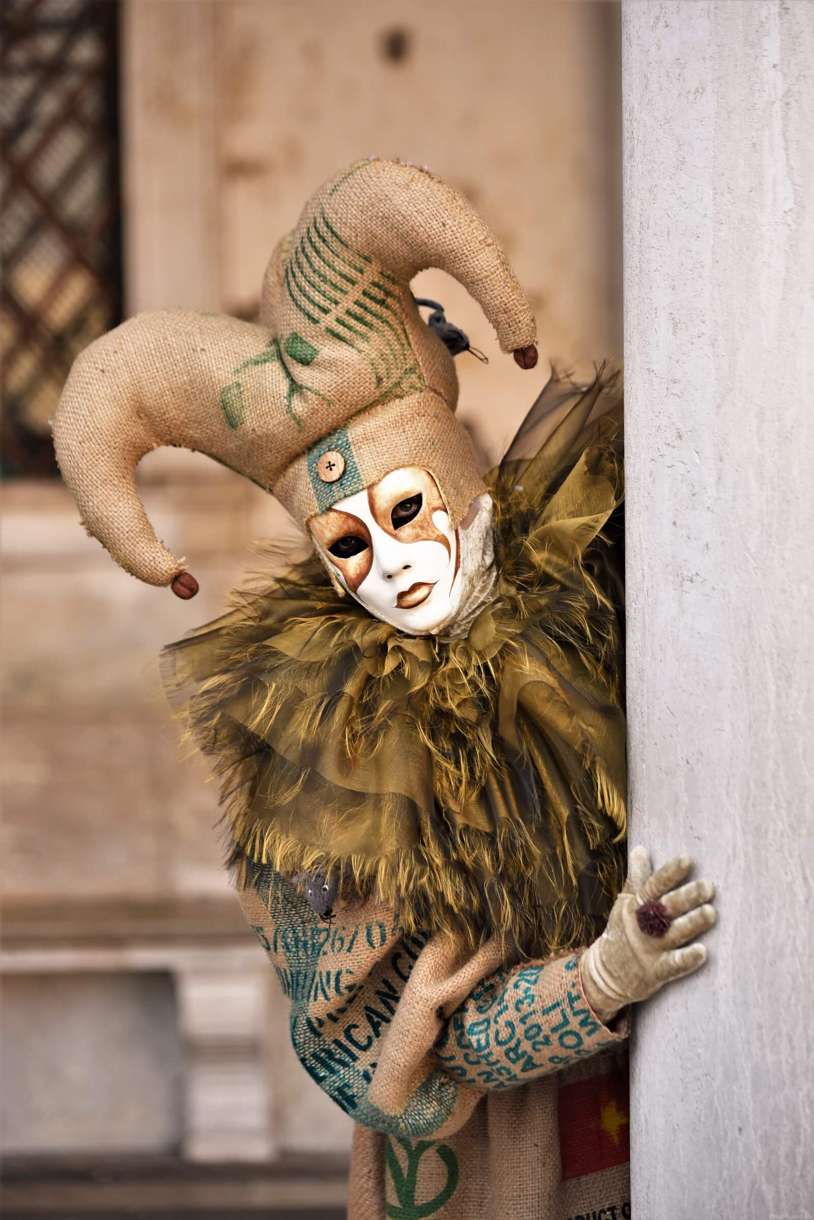 Image of Carnevale di Venezia (Venice Carnival) by LARISA Cekanavica