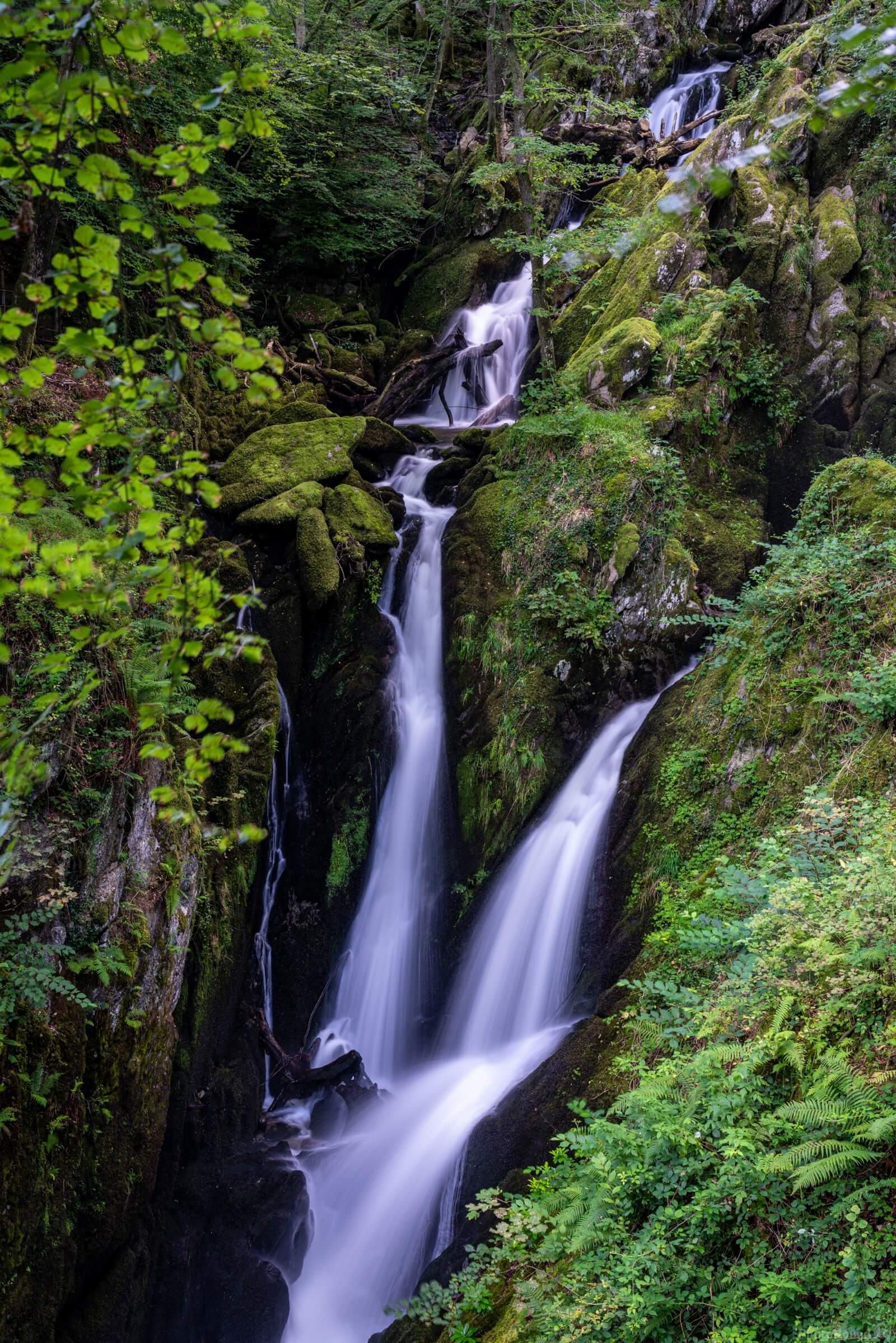 Image of Stock Ghyll Force by Richard Lizzimore