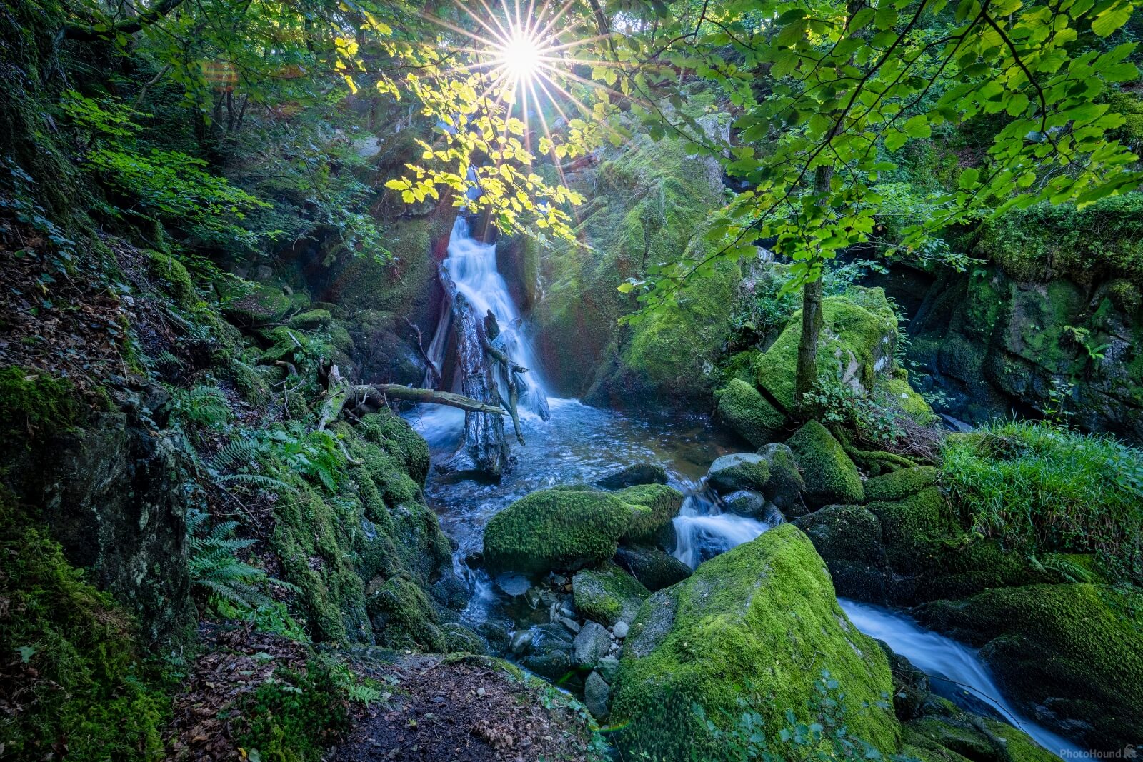 Image of Stock Ghyll Force by Richard Lizzimore