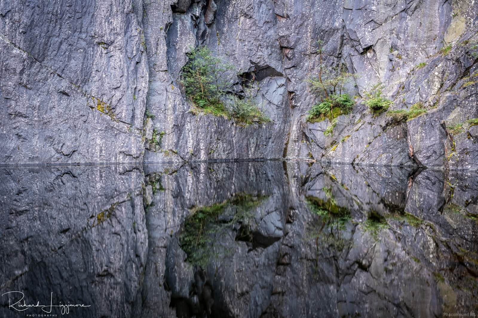 Image of Hodge Close Quarry by Richard Lizzimore