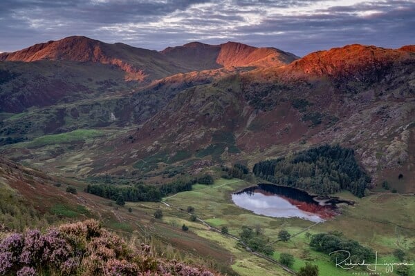 Early morning light on Swirl How and Wetherlam, Blea tarn in the foreground