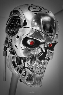 Terminator animatronic head