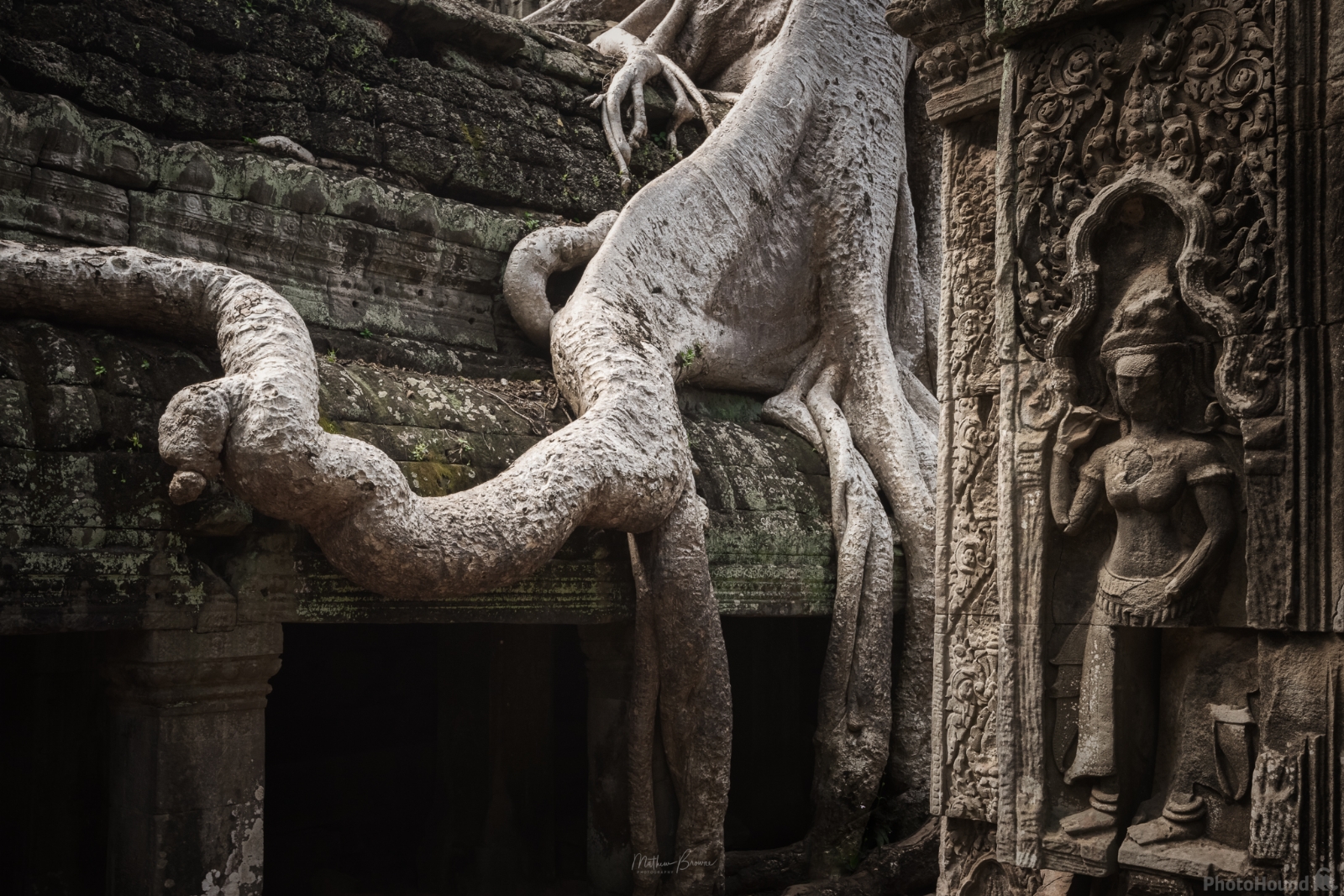 Image of Ta Prohm Temple, Cambodia by Mathew Browne