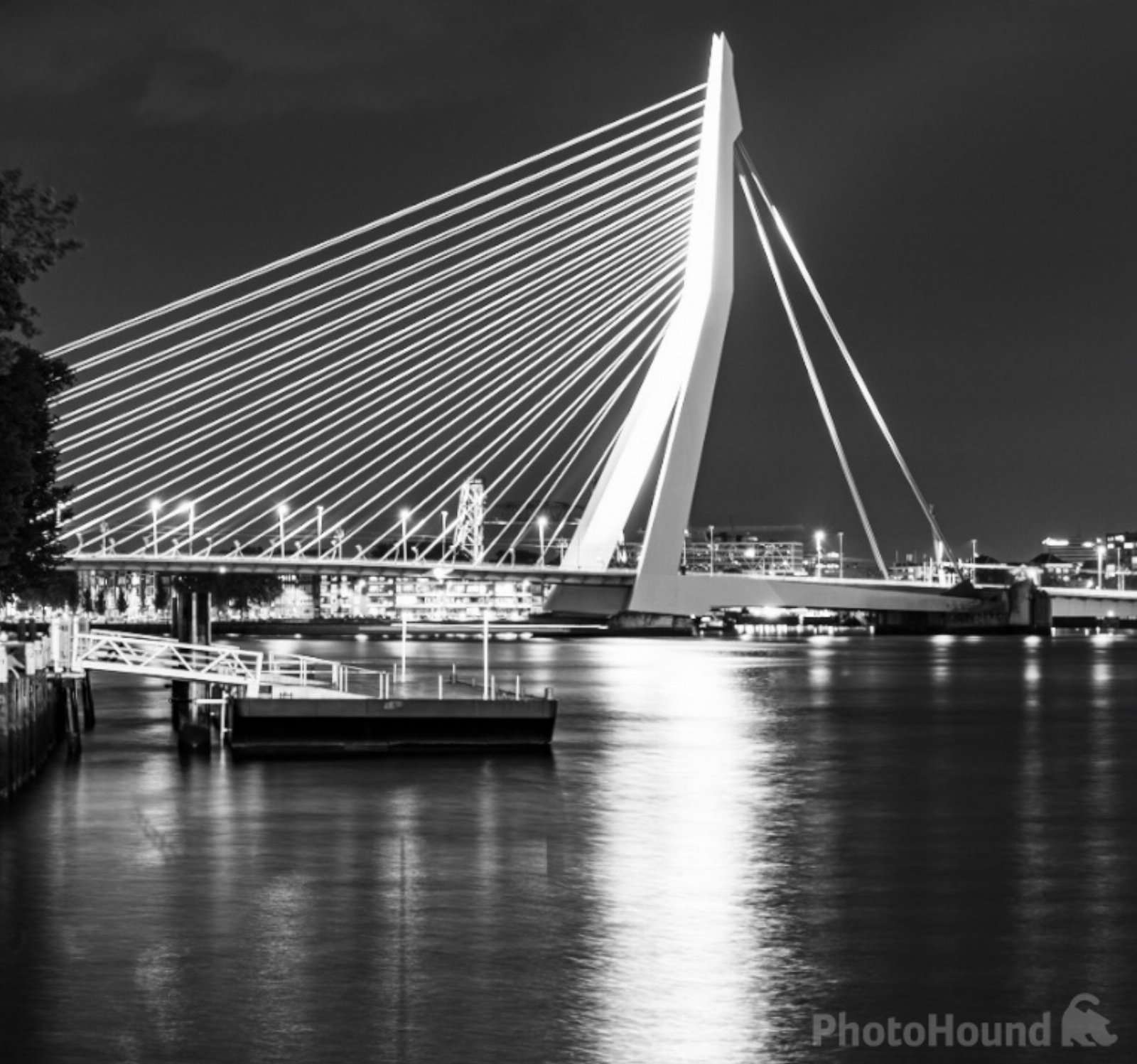 Image of View of Erasmus Bridge  by Szabolcs Gulacsi