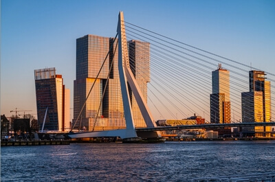 photos of the Netherlands - View of Erasmus Bridge 