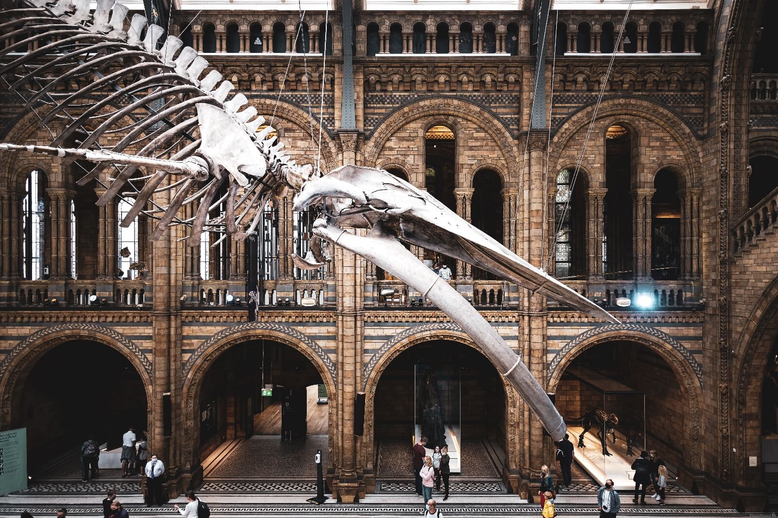 Image of Natural History Museum by Jonny Brown