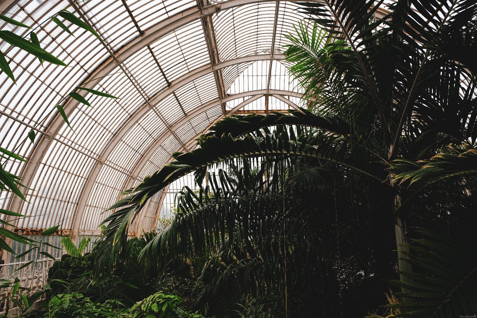 Image of Royal Botanic Gardens Kew by Jonny Brown