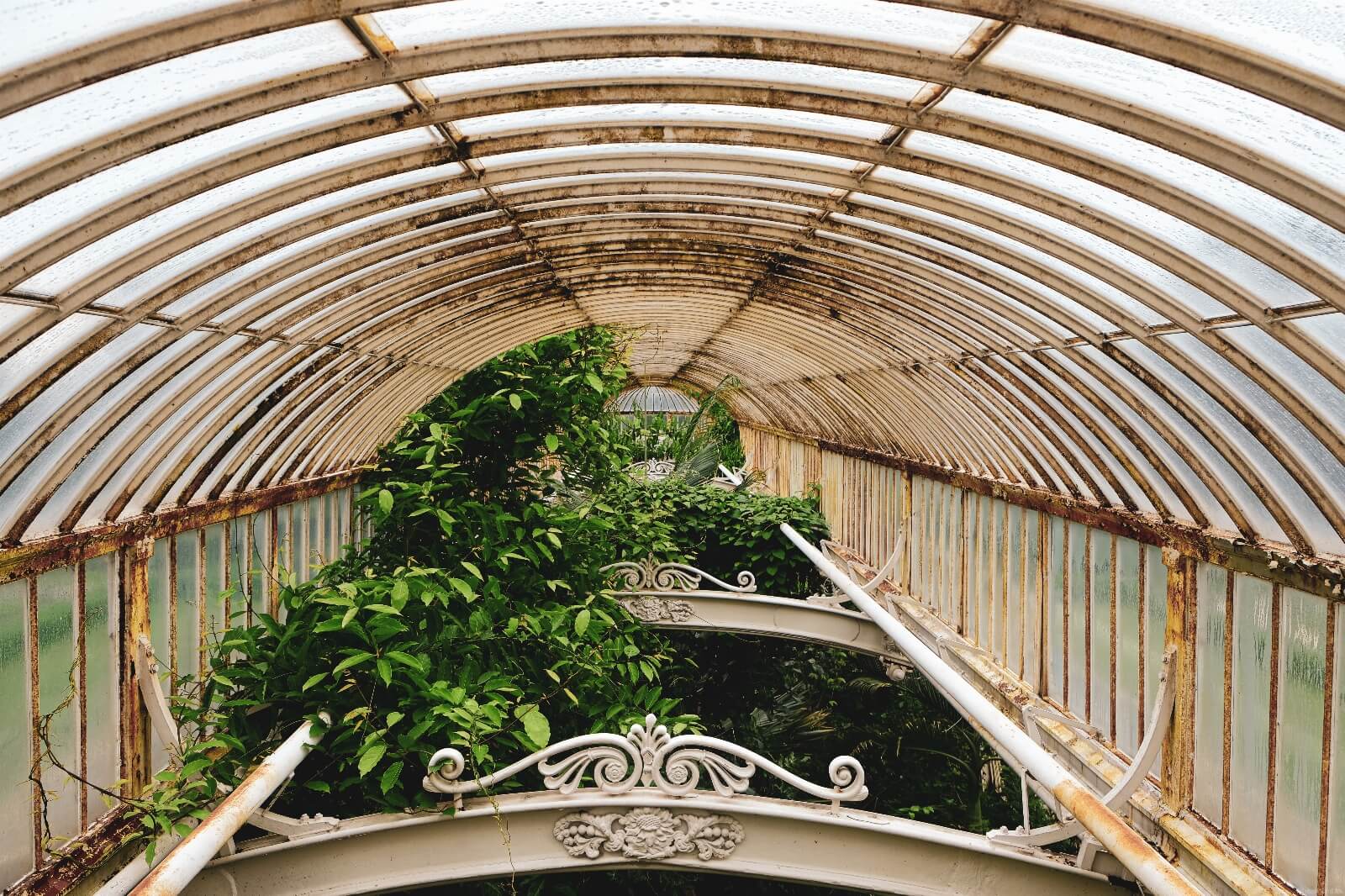 Image of Royal Botanic Gardens Kew by Jonny Brown