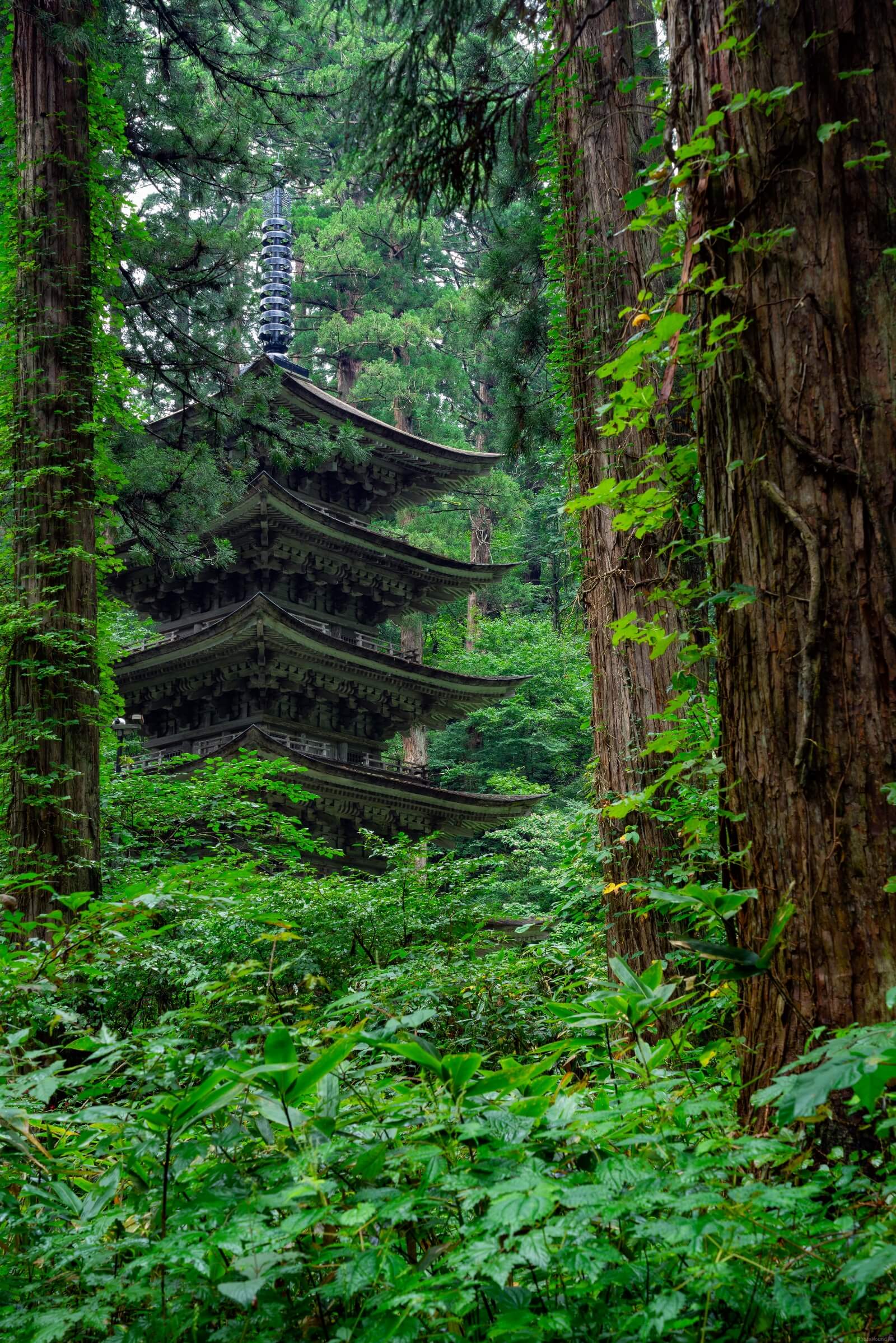 Image of Five-Storied Pagoda Of Mount Haguro by Colette English