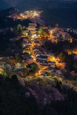 Dusk at the best viewpoint to see Mt. Yoshino's  30,000 cherry trees.