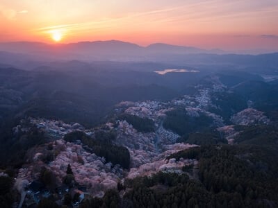 Yoshino instagram spots - Hanayakura Observatory