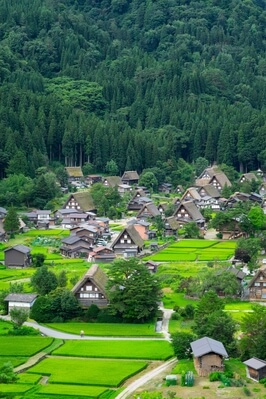 Image of Shirakawa-go - Shirakawa-go