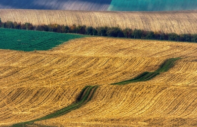 photos of Southern Moravia - The Flying Carpet