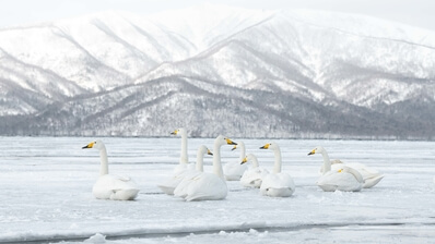 Hokkaido instagram spots - Lake Kussharo