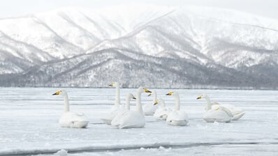 Lake Kussharo