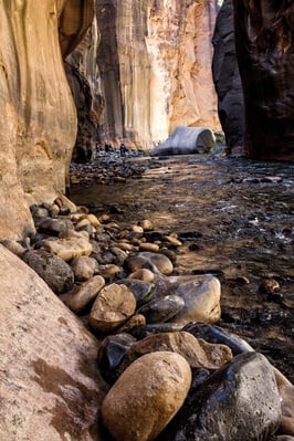 photos of Zion National Park & Surroundings - The Virgin Narrows