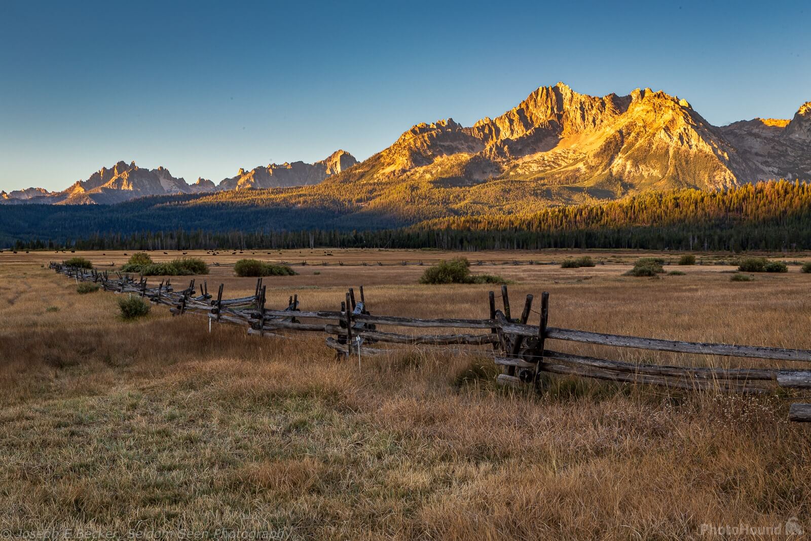Image of Stanley Buck and Rail Fence by Joe Becker
