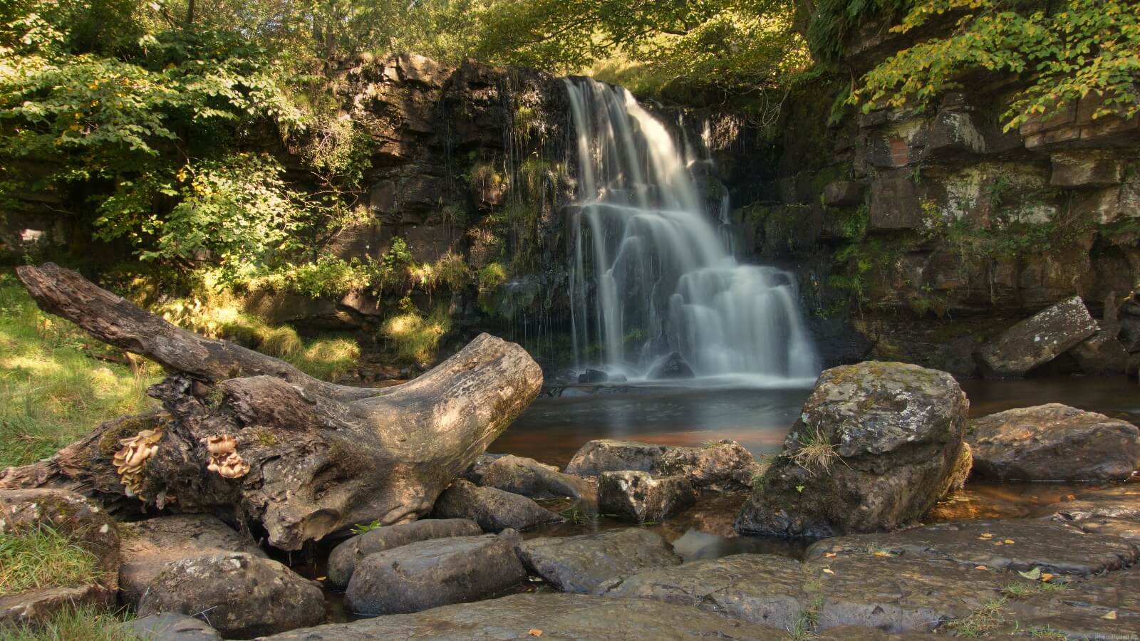 Image of East Gill Force by Gary Calland