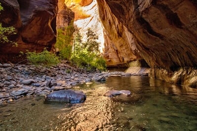 photos of Zion National Park & Surroundings - The Virgin Narrows