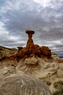photos of Coyote Buttes North & The Wave - Toadstool Hoodoo