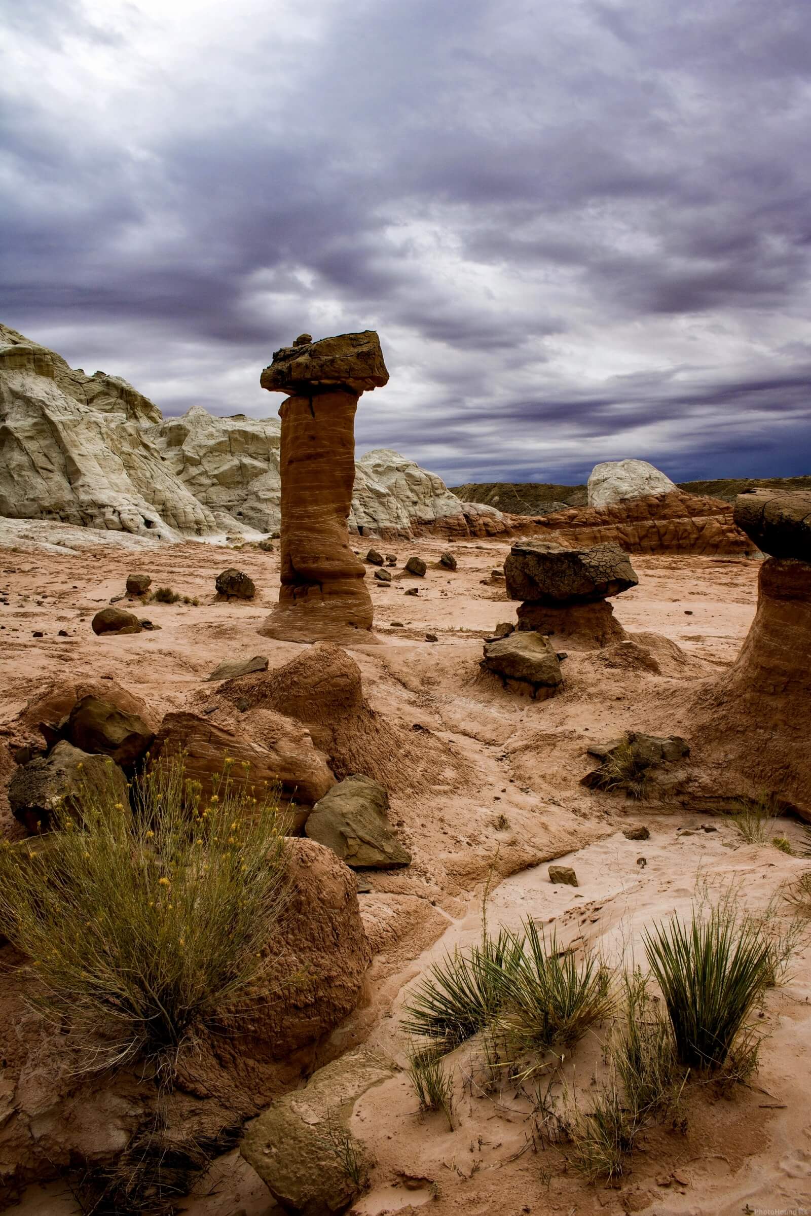 Image of Toadstool Hoodoo by Gary Leverett