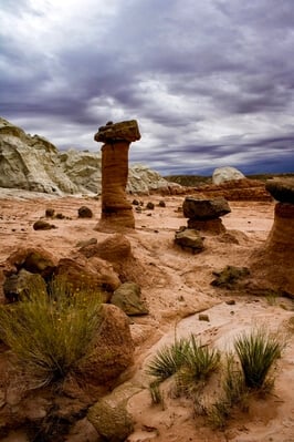 pictures of Coyote Buttes North & The Wave - Toadstool Hoodoo