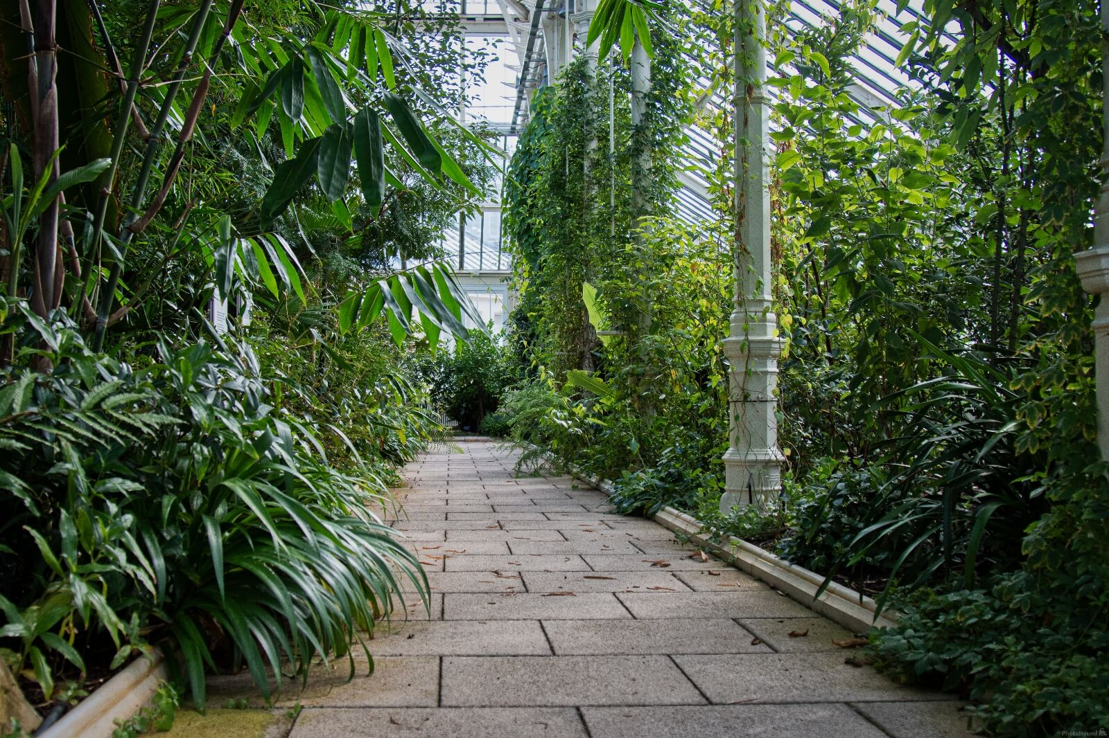 Image of Royal Botanic Gardens Kew by Jules Renahan