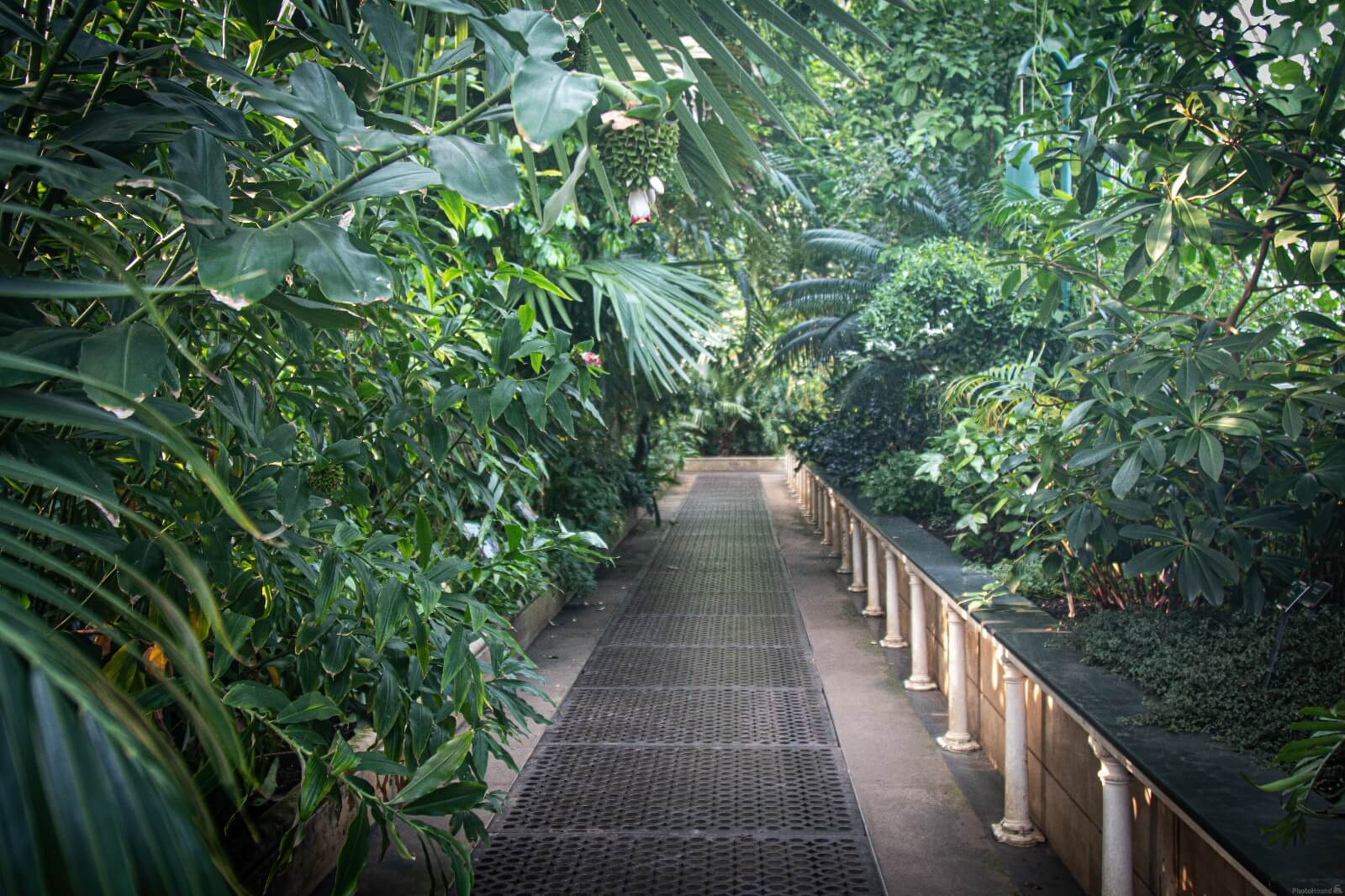 Image of Royal Botanic Gardens Kew by Jules Renahan