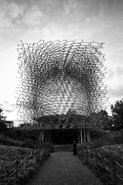 The Hive installation recreates life inside a beehive