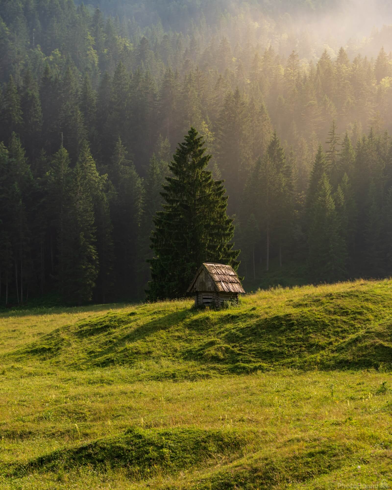 Image of Planina Blato (Mountain Pasture Blato) by Luka Esenko