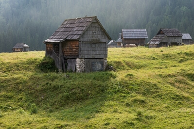 Slovenia images - Planina Blato (Mountain Pasture Blato)