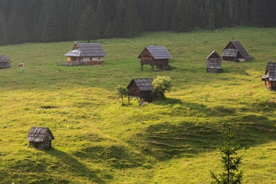 Slovenia photos - Planina Blato (Mountain Pasture Blato)