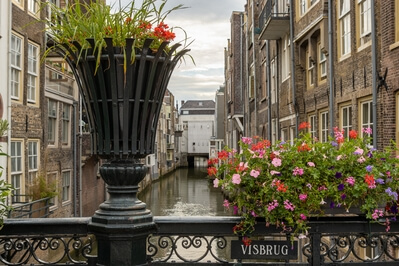 Netherlands images - Dordrecht Old Town