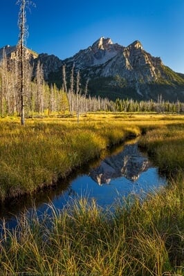 United States images - Stanley Lake Meadows