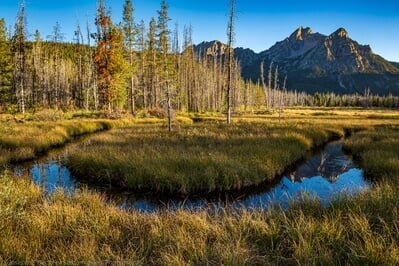 photography locations in Idaho - Stanley Lake Meadows